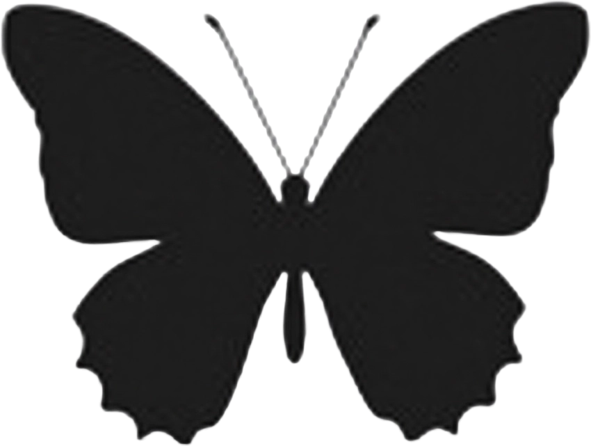 Black Butterfly Silhouette